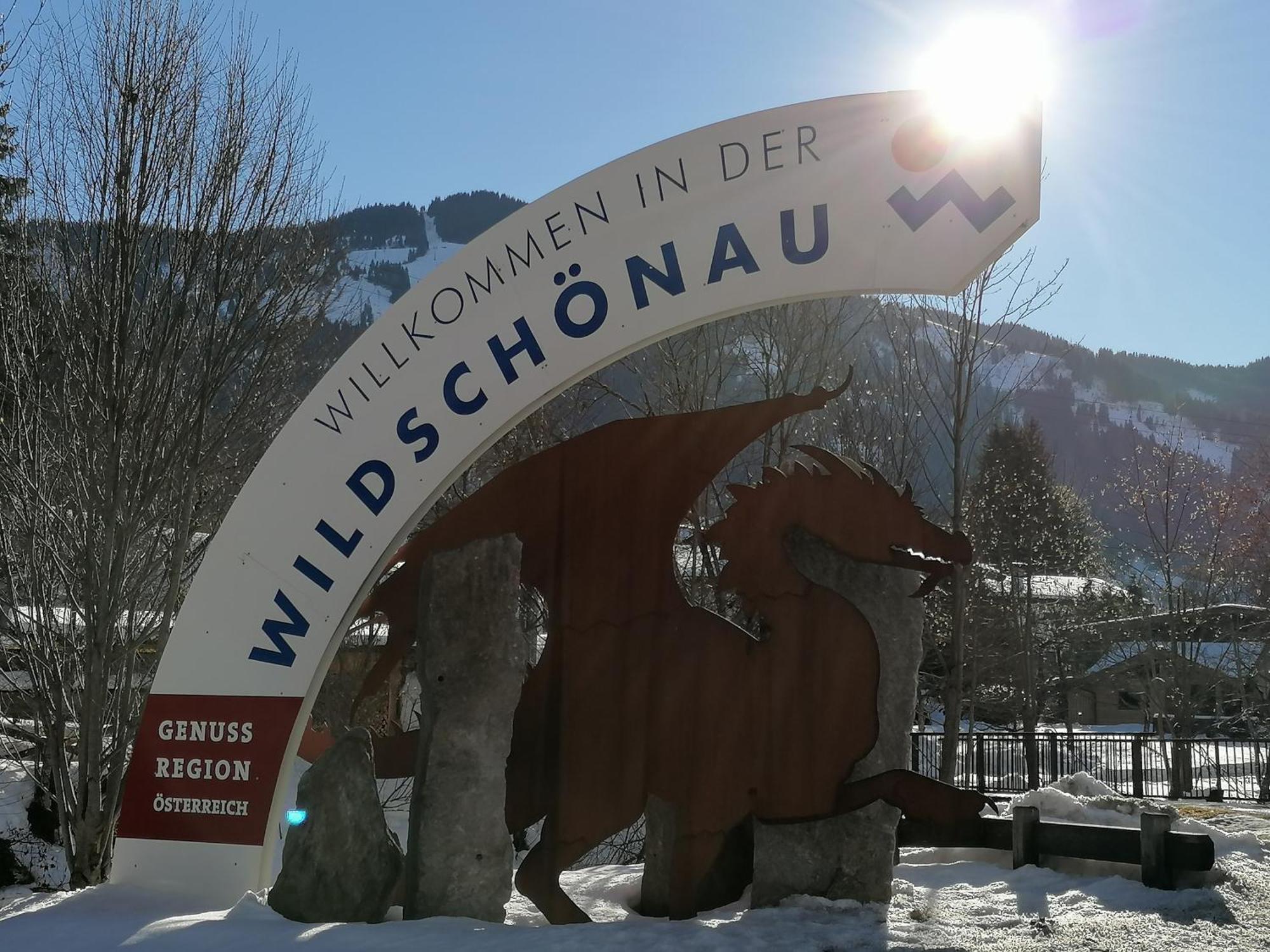 Loya Chalet Wild32 Oberau Bagian luar foto